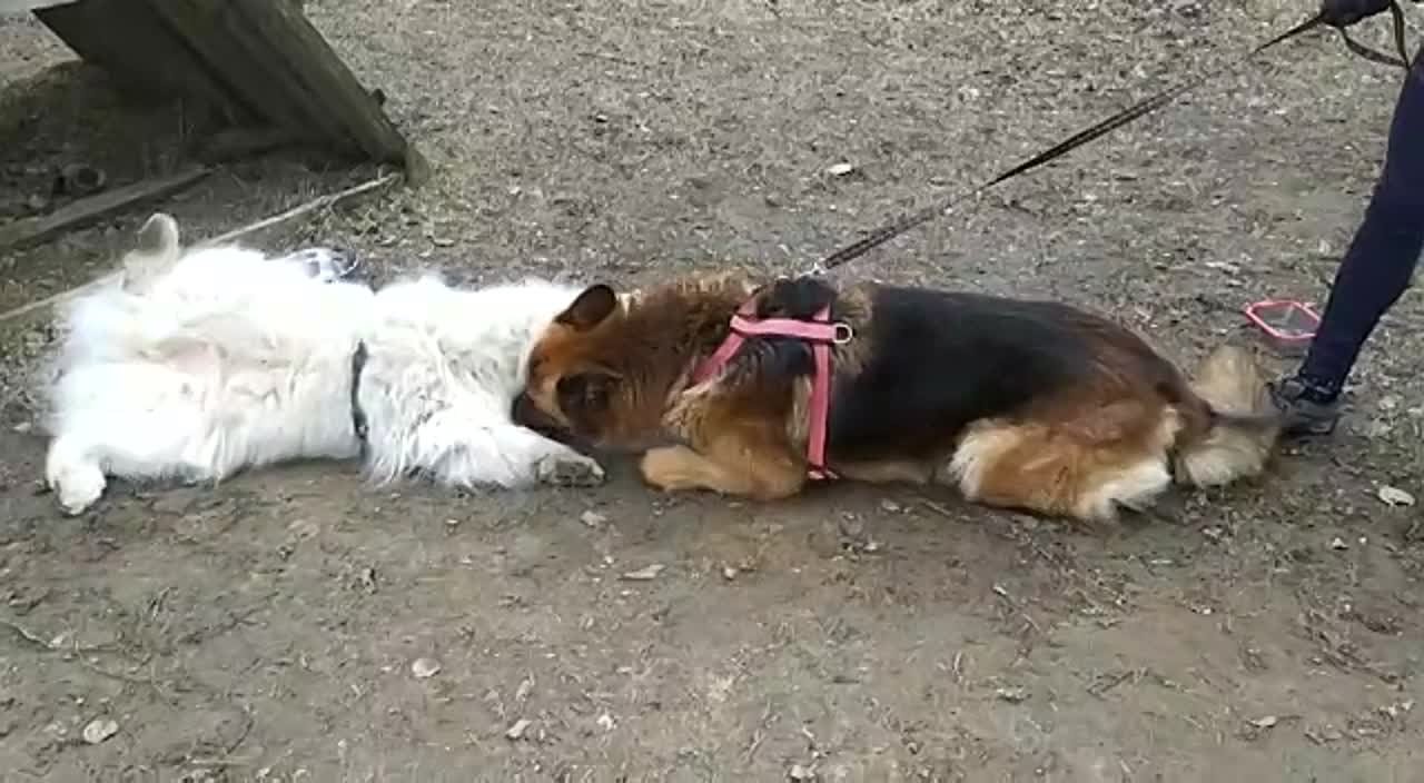 Семья всем