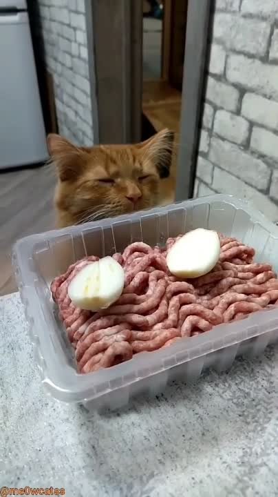 Друзья