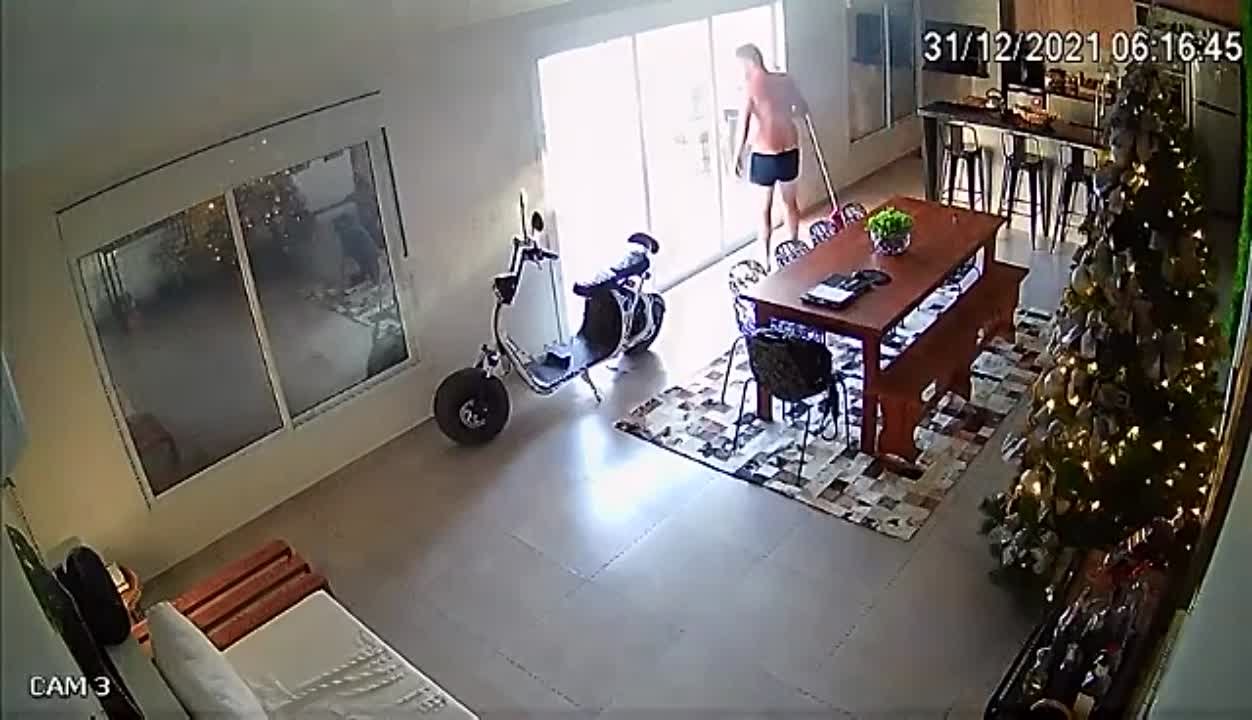 Жесть