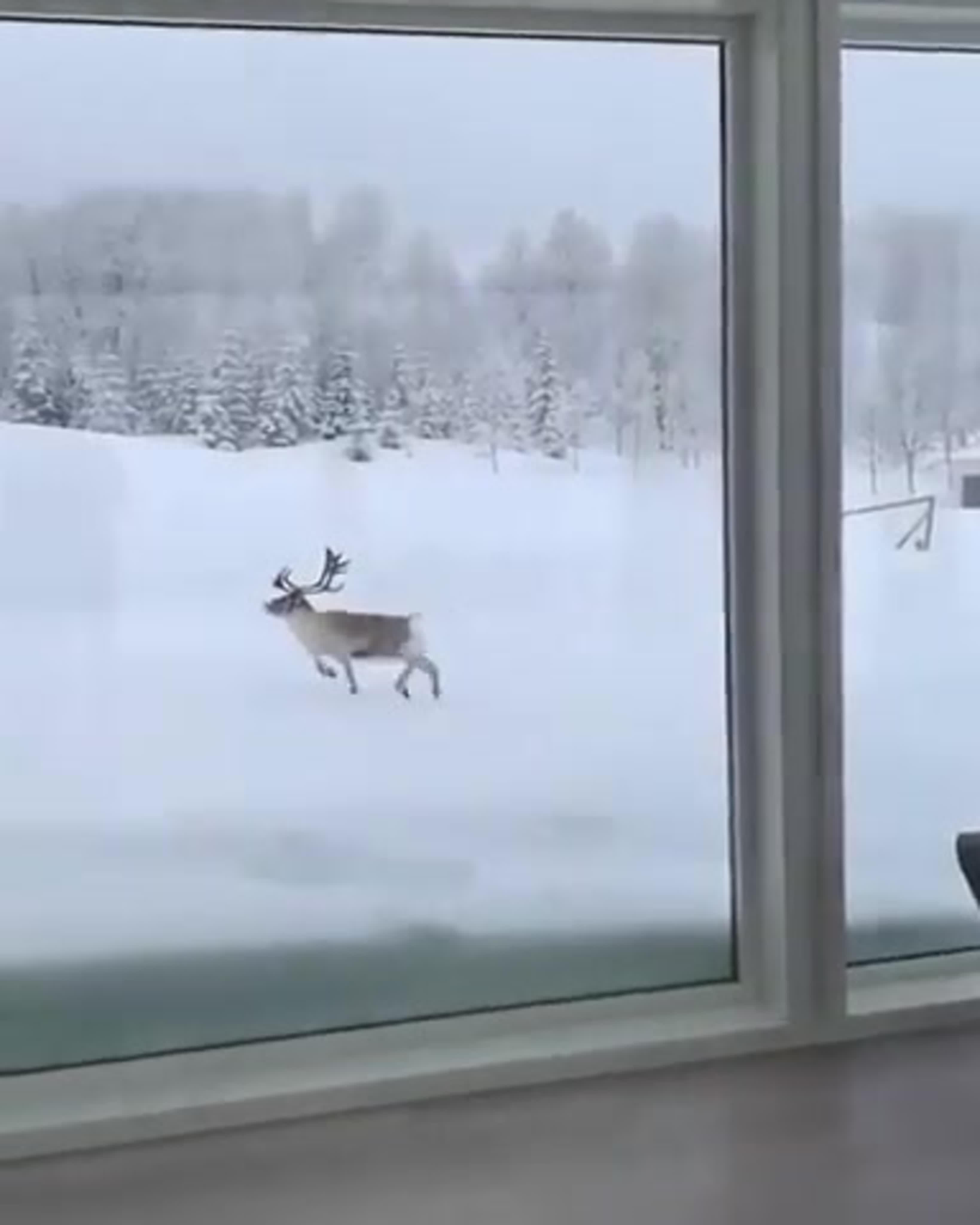 Мотивация
