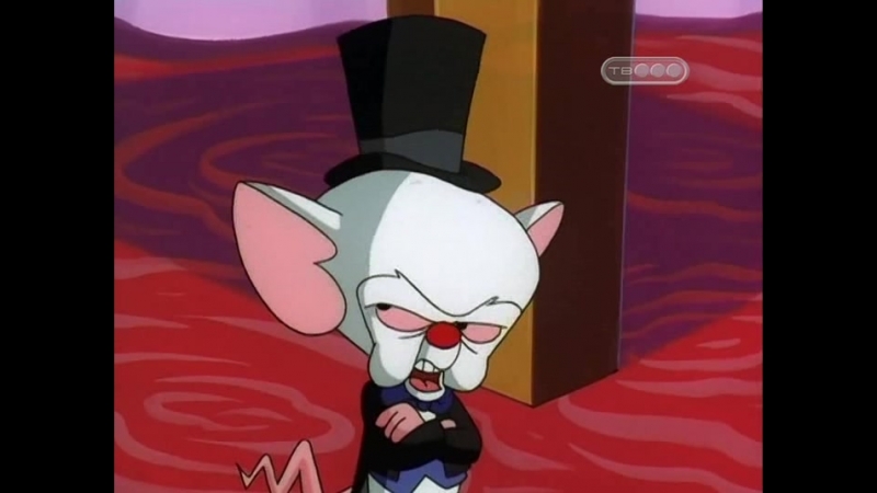 Пинки и Брейн 4 сезон Pinky and the Brain