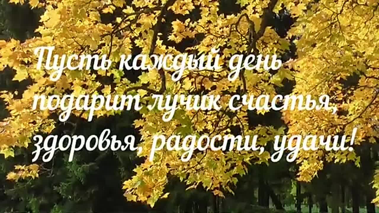 Разное