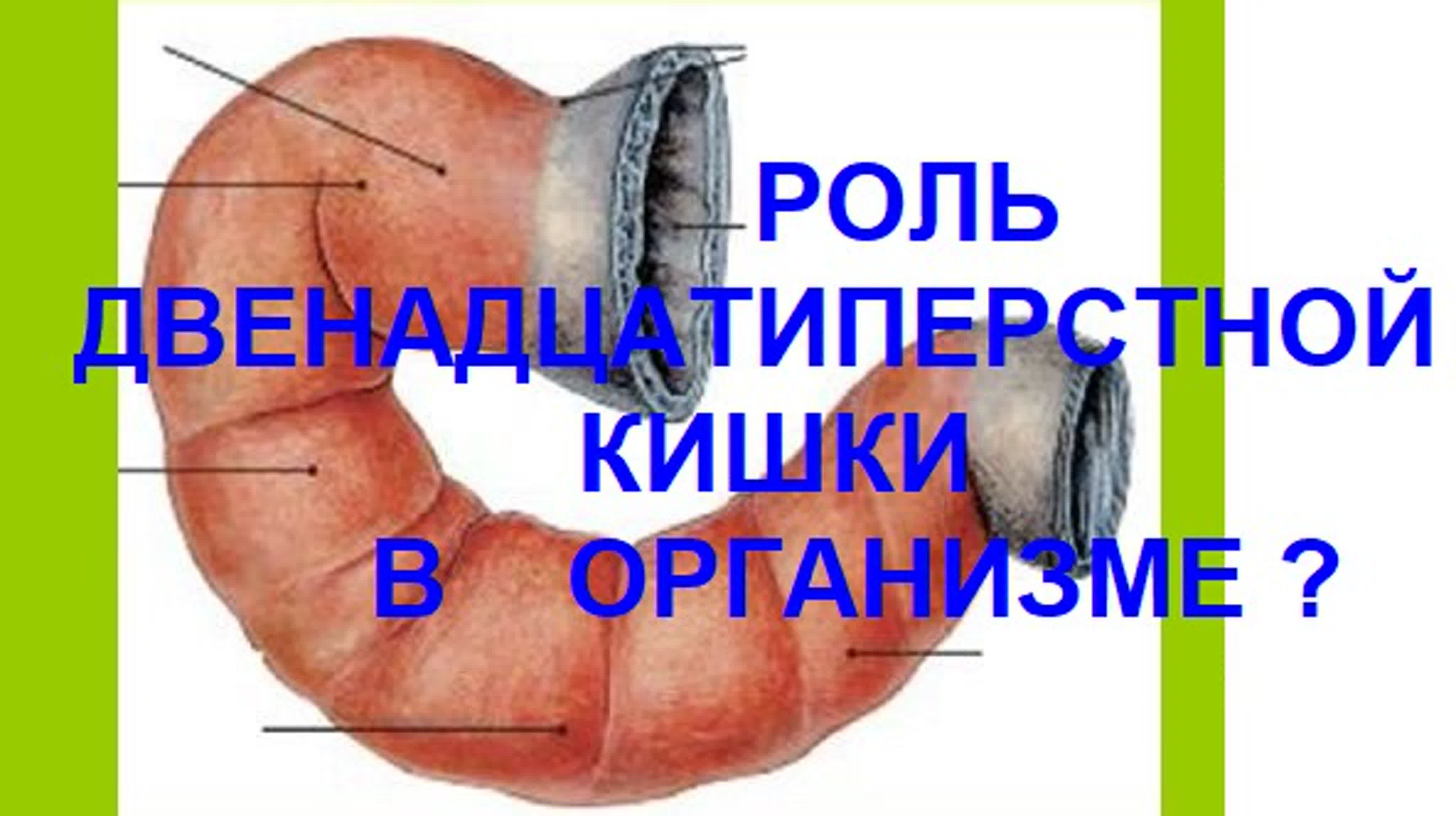 ЭТО ДОЛЖНЫ ЗНАТЬ ВСЕ