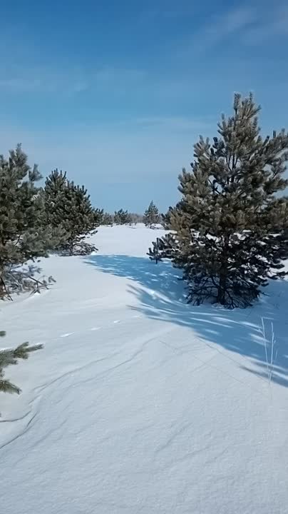 Зимняя красота в Суре