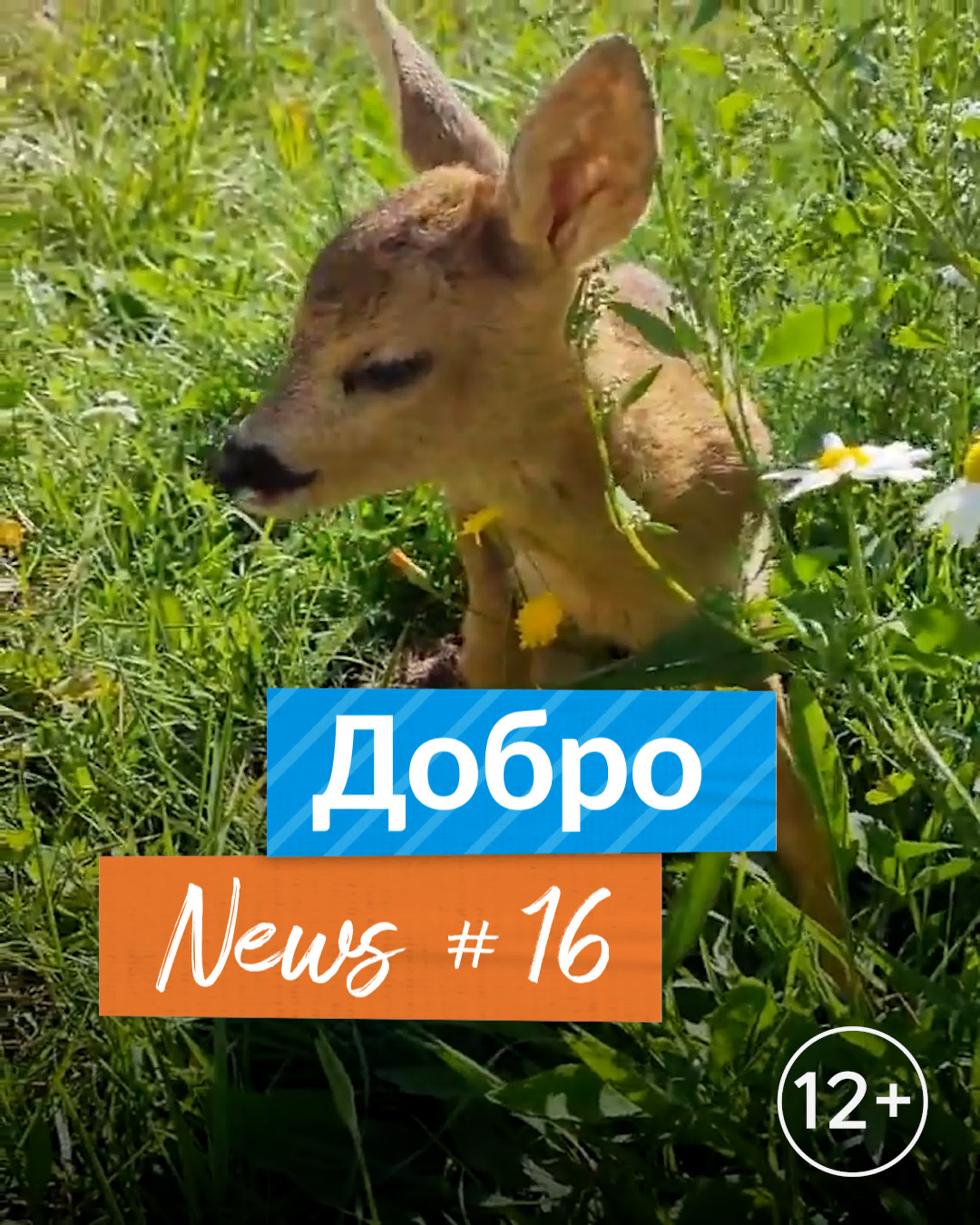 ДоброNews