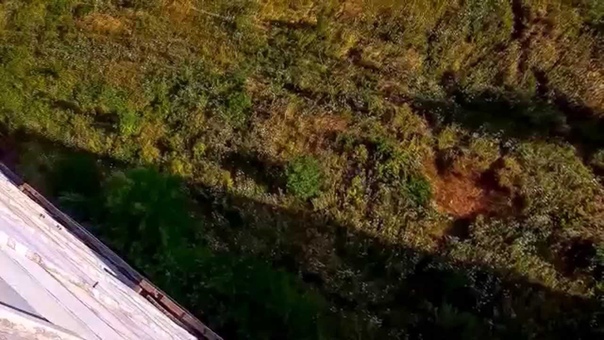 9-10.08.2014 | Краснодар | Элеватор