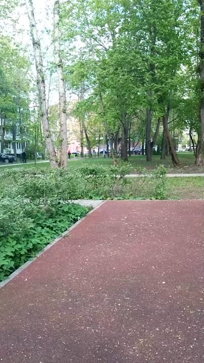 Мои прогулки