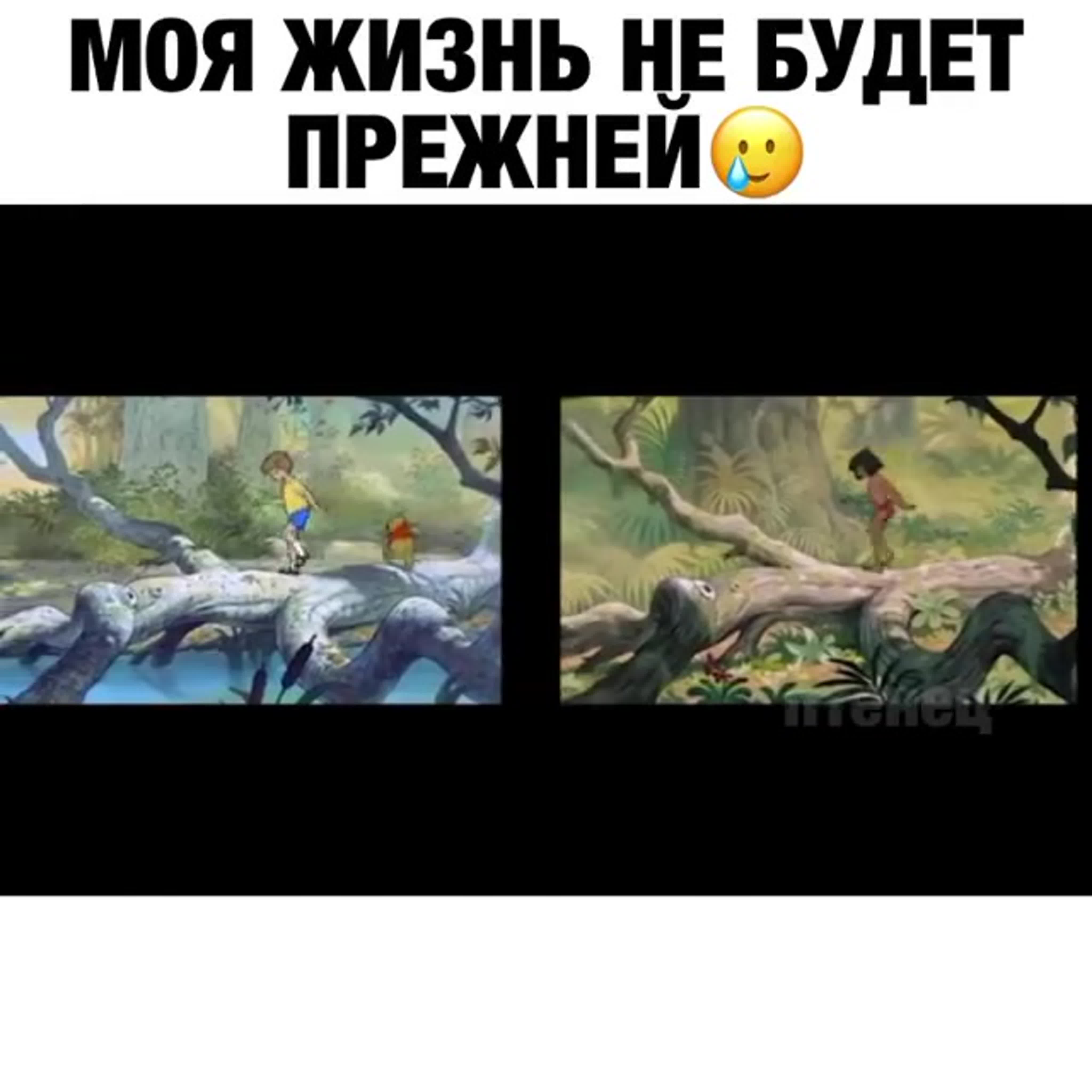 ПРИКОЛЮШКИ