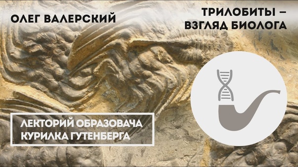 Химия тела