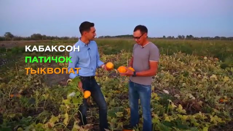 Еда живая и мертвая. Избранные выпуски для настоящих хозяек