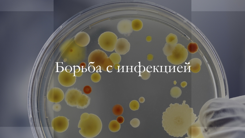 Стопка крутых видосиков по медицине
