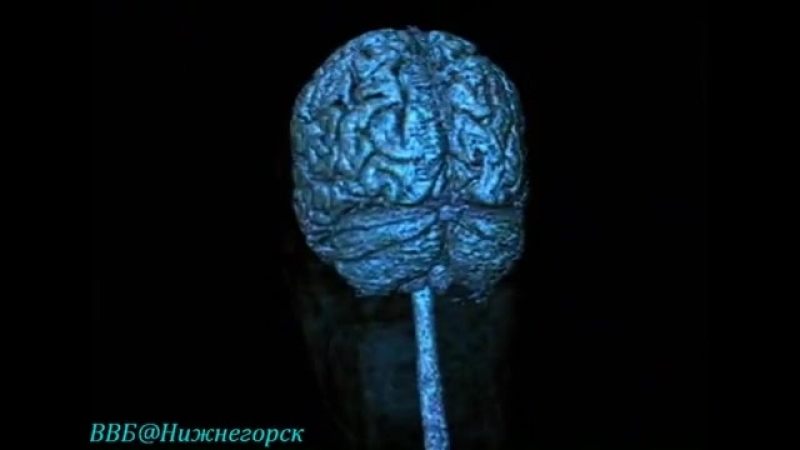 BBC. Сверхчеловек