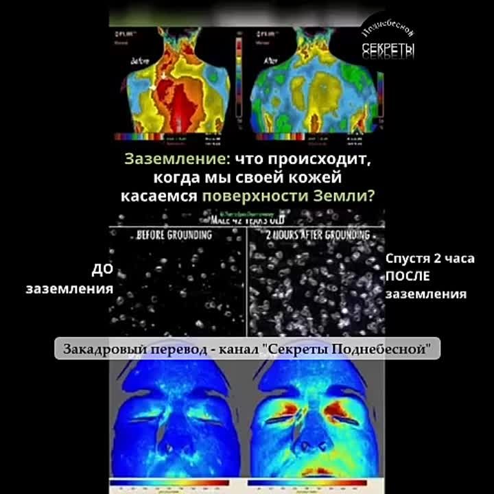 Здоровье