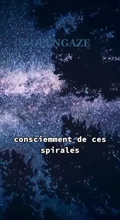 💜💜💜 COEUR