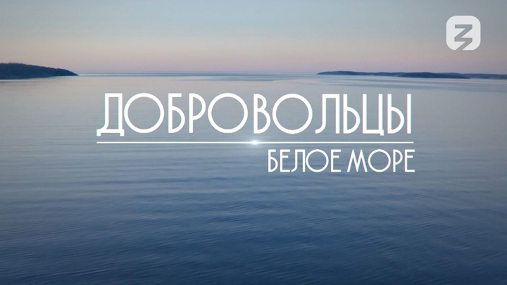 Добровольцы