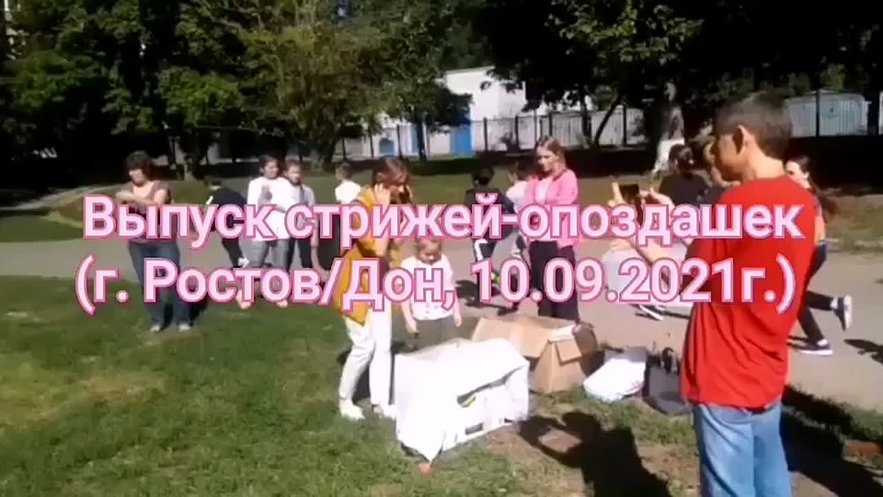 Выпуск стрижей 2021г (наши клиенты).