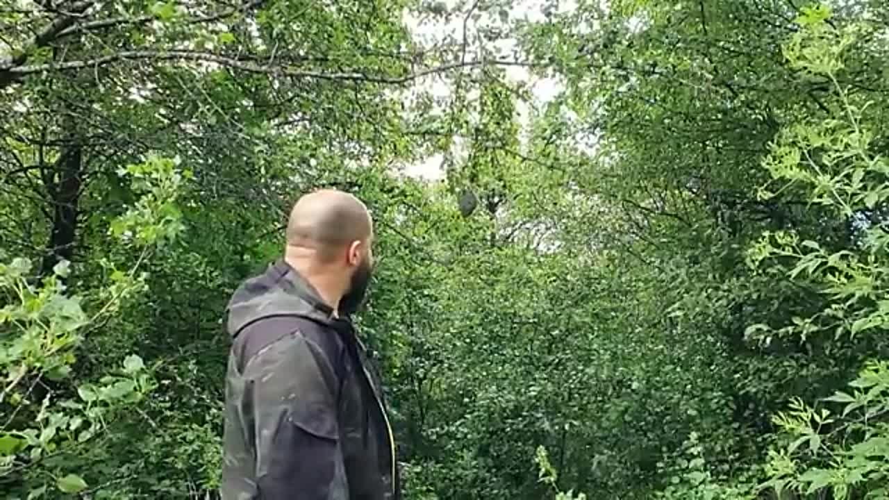 В Ы Ж И В А Н И Е