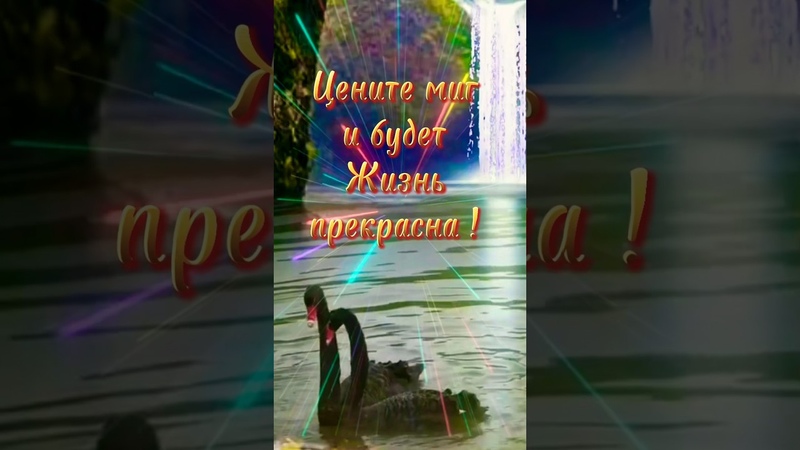 ПОЗДРАВЛЕНИЯ