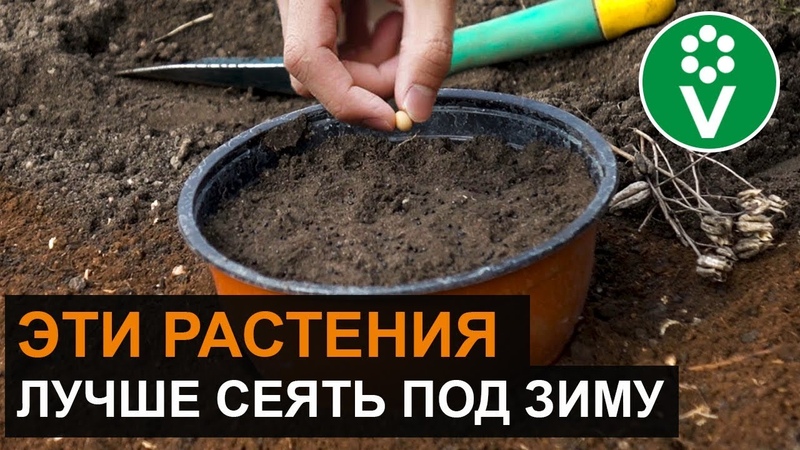 САД, ОГОРОД, ДАЧА