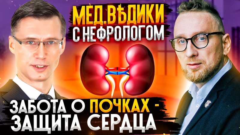 ЗДОРОВЬЕ: П о ч к и