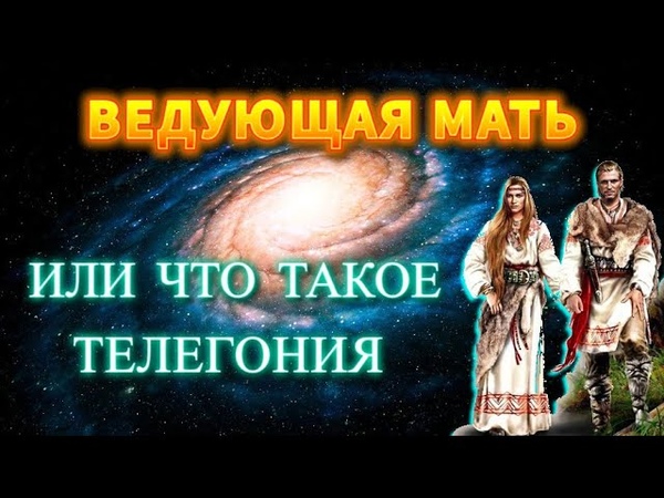 ЗДОРОВЬЕ: Телегония