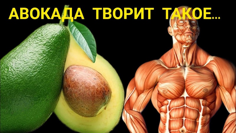 КУХНЯ: АВОКАДО