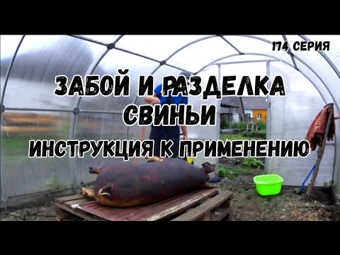 КУХНЯ: РАЗДЕЛКА МЯСА