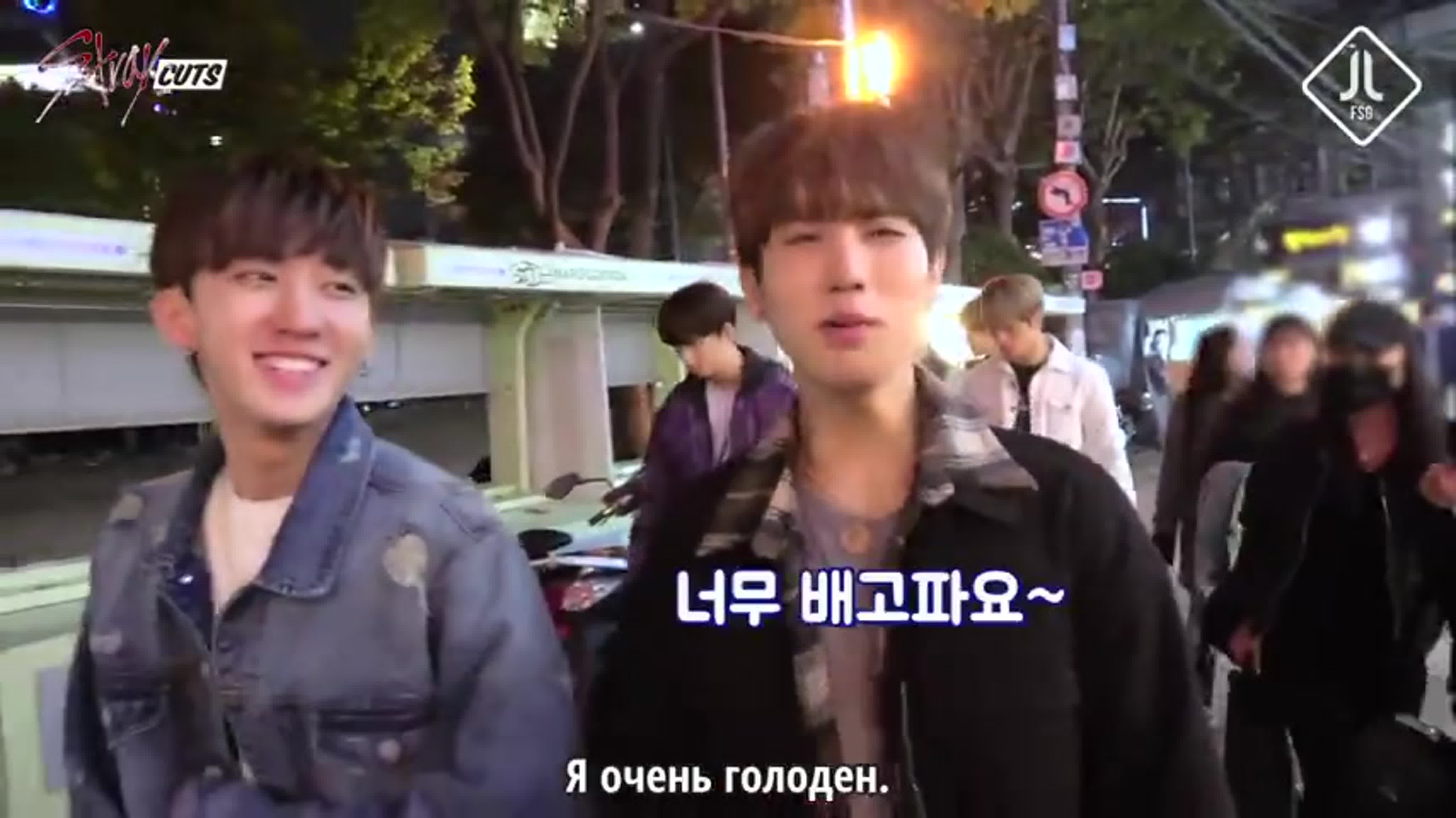 STRAY KIDS [REALITY SHOW]