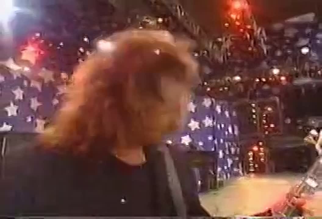 Moscow Music Peace Festival 1989