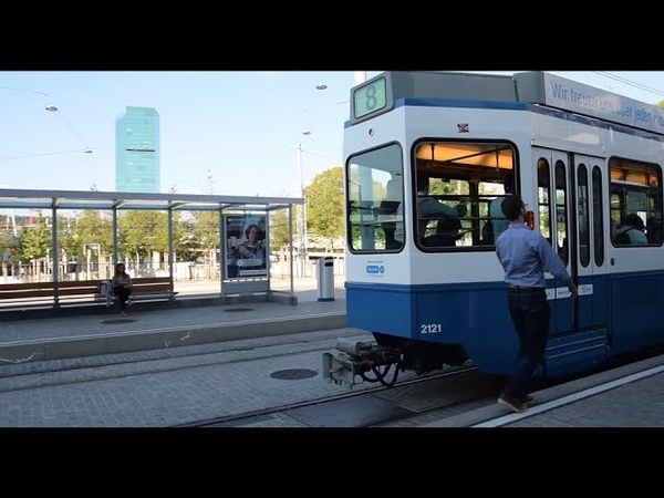 голубая акула 5