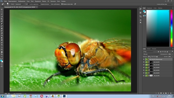 Photoshop  Photoshop. Основы работы. Урок 1 Photoshop. Де