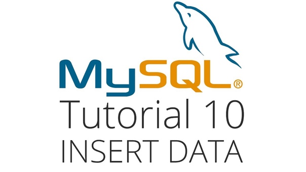 Основы MySQL (Часть 1)    #mysql@proglib #db@proglib #nov