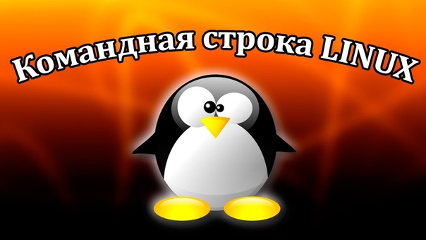 Команды терминала Linux.    Урок 1. Основа работы с файла