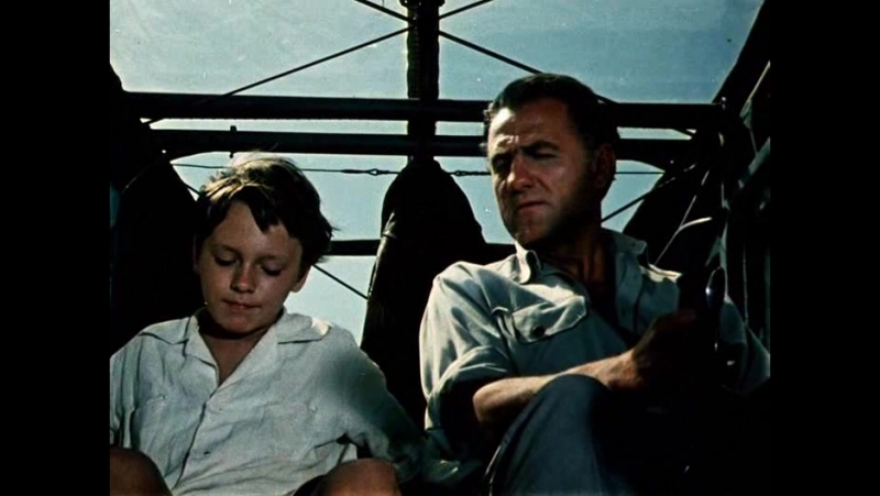 Любимые фильмы.