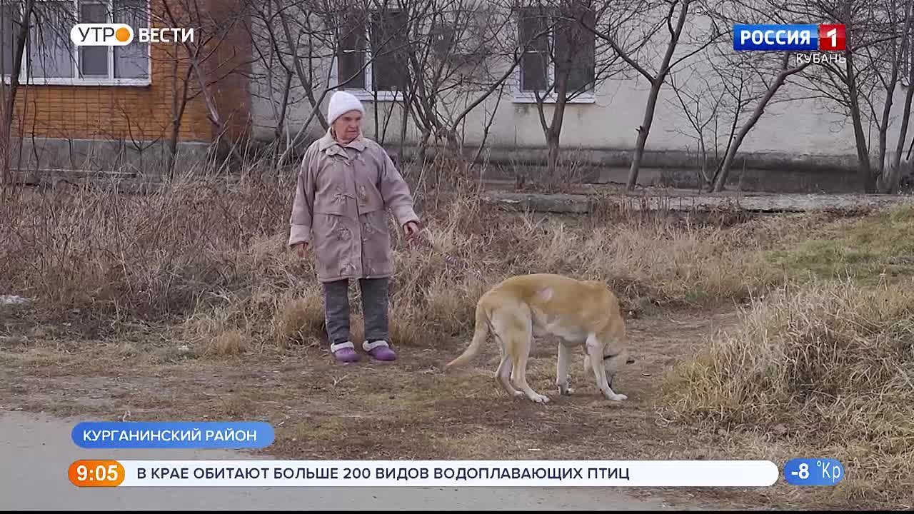 СМИ о нас