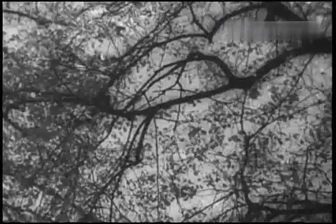 1959.TOP-30.Soviet music.