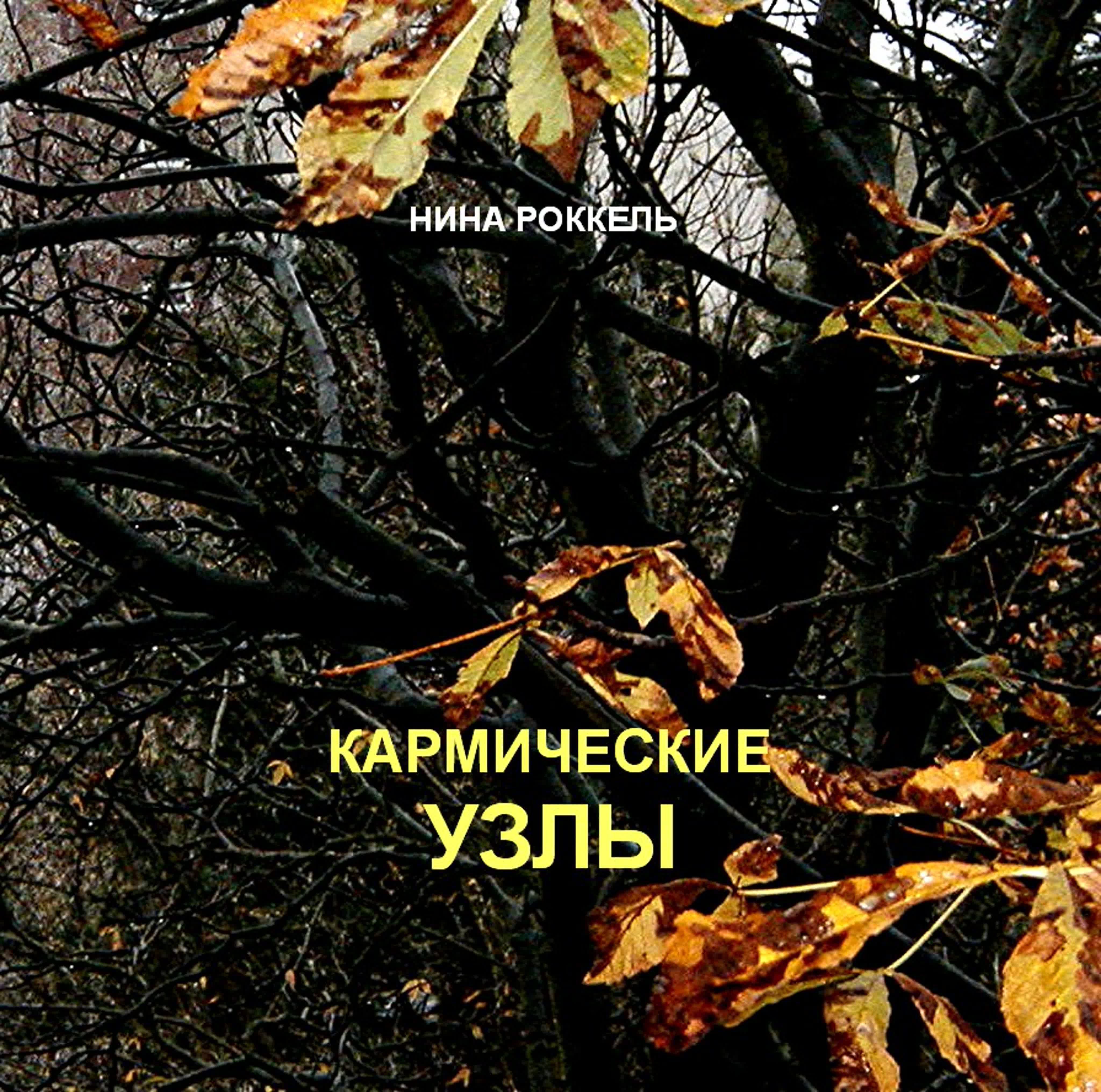 Кармические узлы