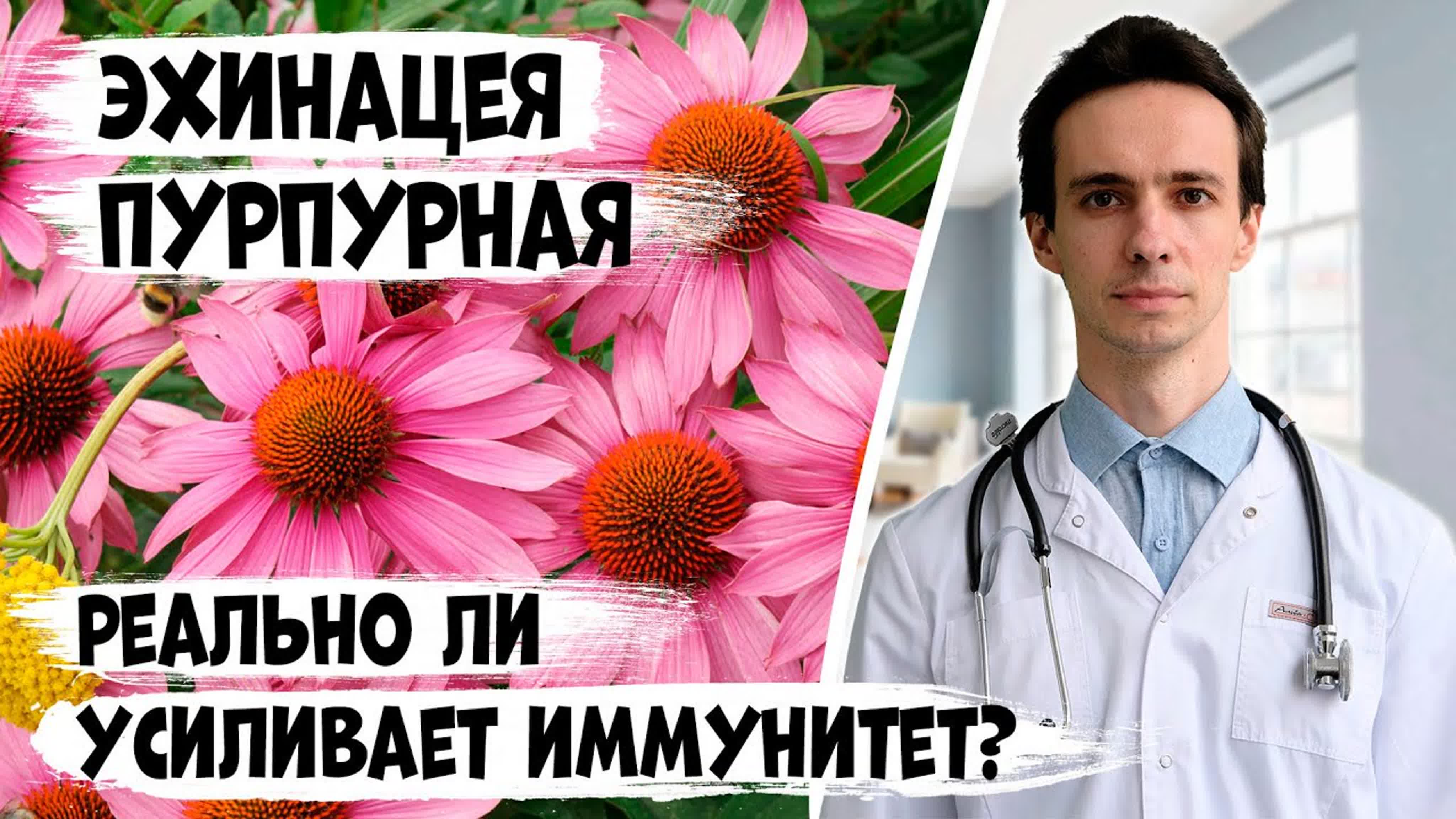 Интересное на канале "На пульсе"