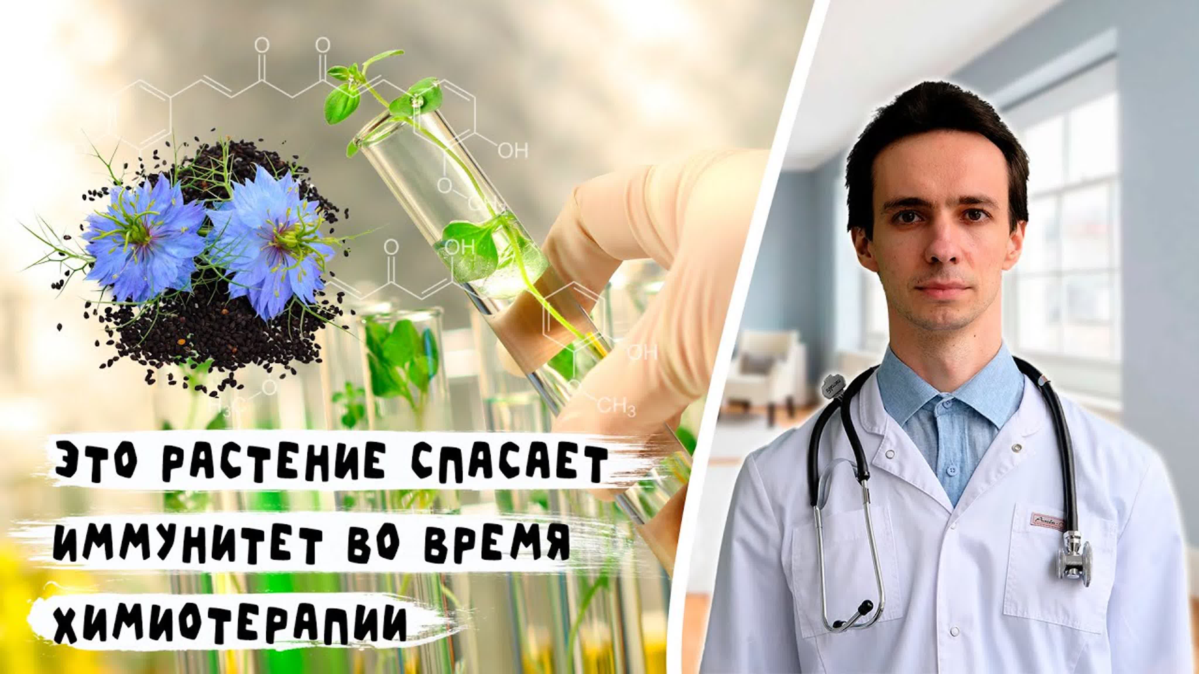Лечебные свойства черного тмина