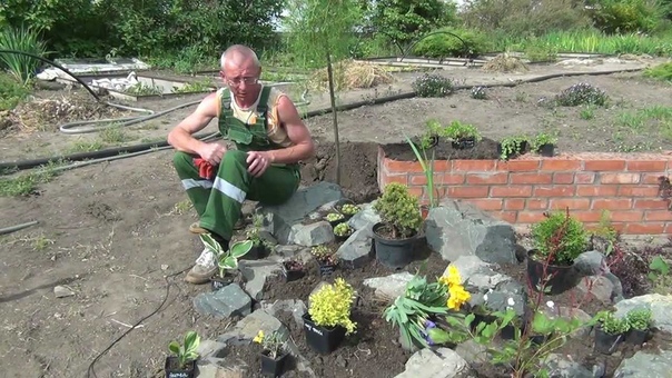 Ландшафтный дизайн