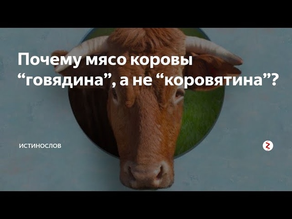 Великий и могучий Русский язык