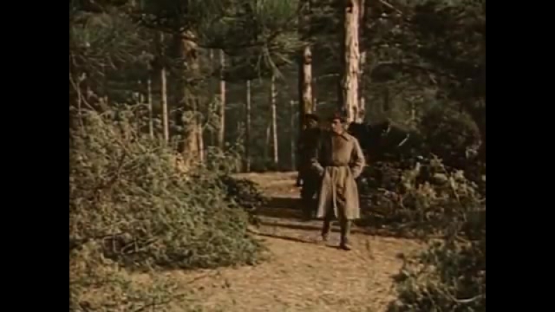 Экранизации: Аркадий Гайдар