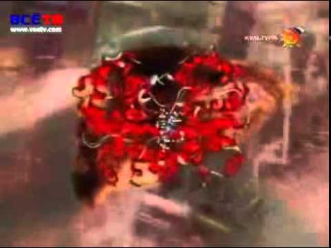 Анатомия