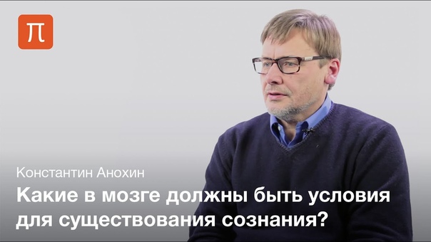 Константин Анохин