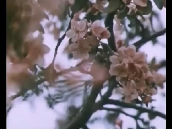 Маяк