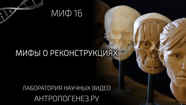 Мифы об эволюции человека