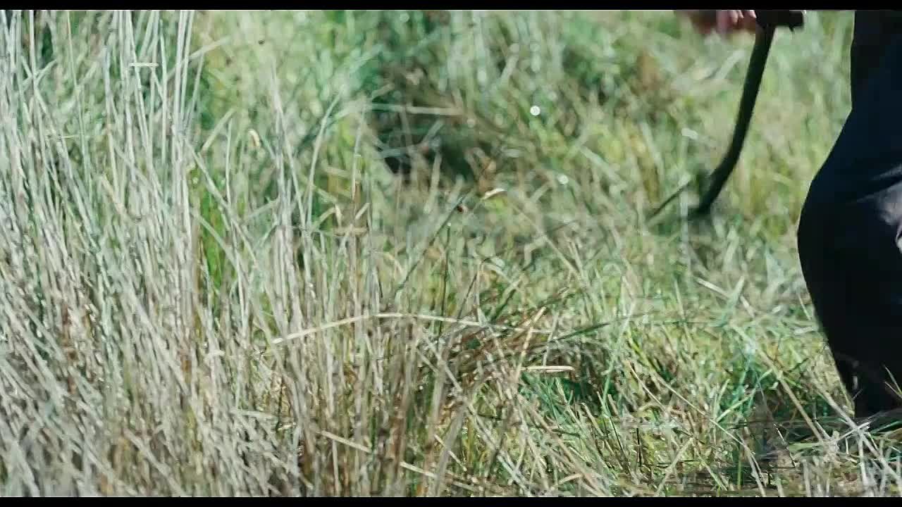 Режиссёр: Кен Лоуч