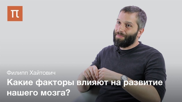 Лекции о человеческом мозге