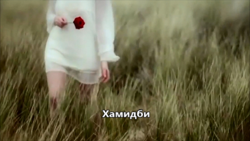 0801 Заур Тхагалегов. Загарей