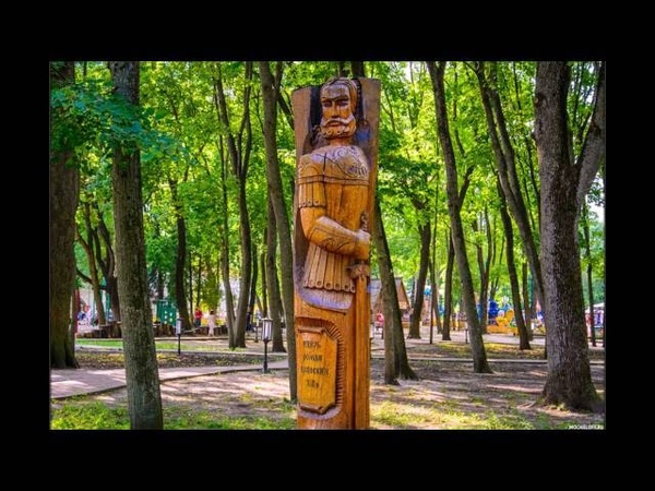 0653 Николай Шишкин
